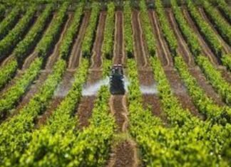 Gobierno convocará a la banca para evaluar créditos a productores