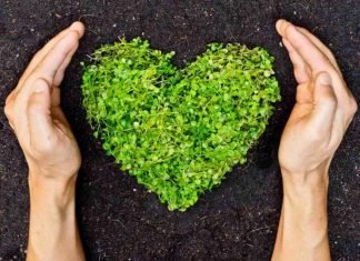 Día mundial de la Conservación del Suelo