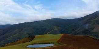 El Potrero, Humocaro Alto