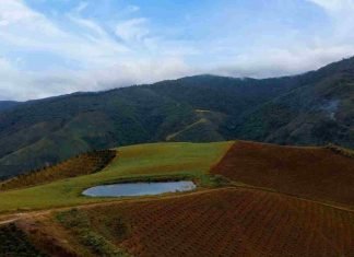 El Potrero, Humocaro Alto