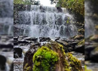 Parque Nacional Yacambú