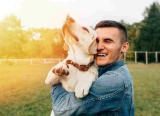 Abrazar a un perro mejora el bienestar mental