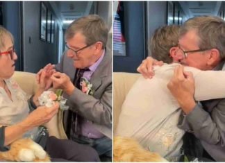 Cada semana le propone matrimonio