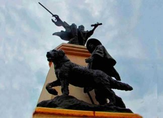 La historia de Nevado