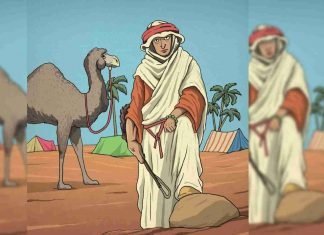 ¿Dónde está el caballo?