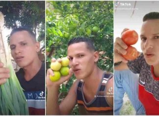 Tiktoker enseña a sembrar vegetales