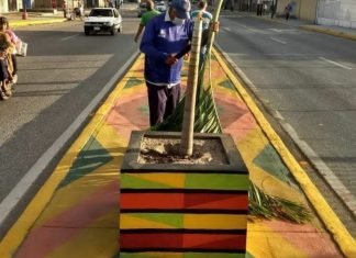 Programarán resiembra de nuevos chaguaramos en la Intercomunal Barquisimeto – El Cují