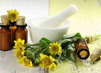 Cura los golpes y dolores con las hojas de árnica