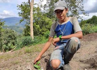El sueño del larense David Lucena
