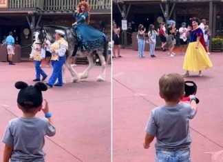 Niño saludando a princesas Disney