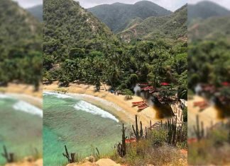 Tuja, una bella palaya de Aragua