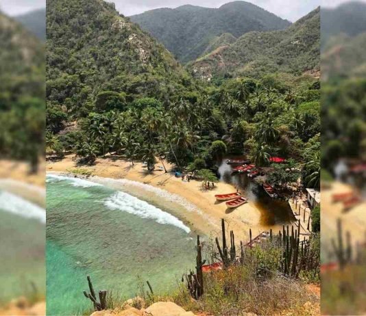 Tuja, una bella palaya de Aragua