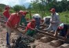 IFE culminó reinstalación de la vía férrea en el estado Yaracuy