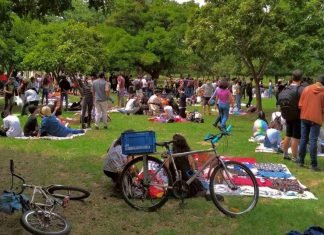 Picnic’s Artísticos en Barquisimeto
