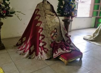 Festividad Mariana de la Divina Pastora será nuevamente virtual por pandemia