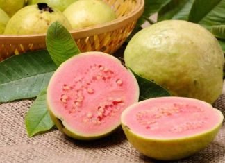 La guayaba en la dieta diaria
