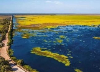 Matecal, estado Apure