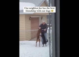 Por más vecinos como Joe