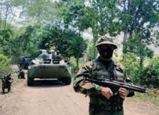 FANB sigue desplegada en municipios fronterizos con Arauca