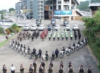 FANB se despliega para contrarestar sabotajes en las torres eléctricas y los poliductos