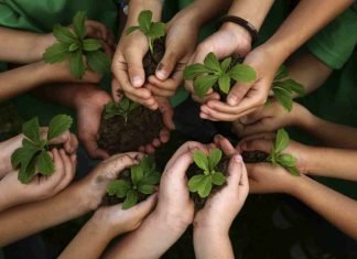 Día Mundial de la Educación Ambiental