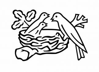 ¿Reconoces la imagen?