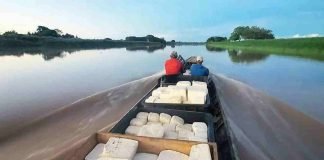 El llano venezolano
