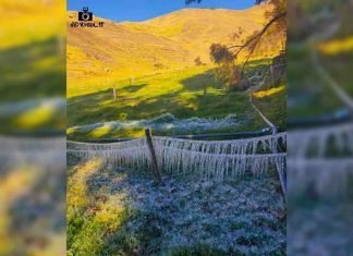 Heladas en el páramo merideño