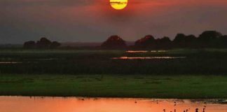 El atardecer llanero