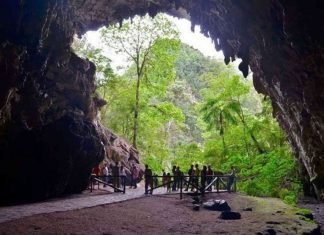 La Cueva del Guácharo