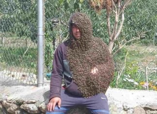 “El Hombre Abeja” está en Trujillo