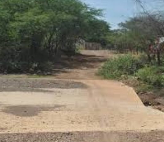 Oropeza: «En Torres está afectada la vialidad agrícola»