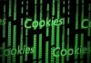 Usuarios de internet aceptan las cookies a pesar del peligro