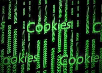 Usuarios de internet aceptan las cookies a pesar del peligro