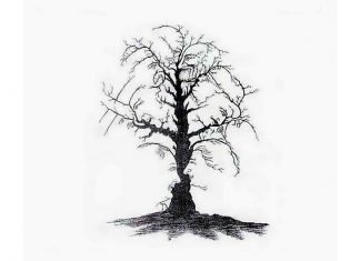 ¿Cuántos rostros puedes ver en la imagen?