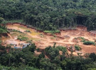 Observatorio Ecología Política informa del impacto ambiental por explotación de recursos en Venezuela