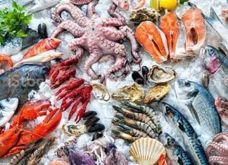 Establecen precios para la venta del pescado en Semana Santa 2022