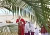 Papa Francisco lamentó la locura de la guerra en homilía del Domingo de Ramos