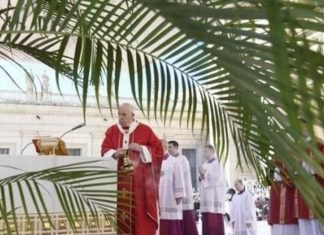 Papa Francisco lamentó la locura de la guerra en homilía del Domingo de Ramos