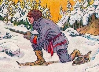 ¿Ves el oso en la imagen?