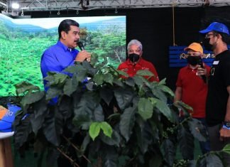 Gobierno dinamizará créditos para los caficultores