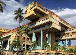 El “Árbol para vivir”