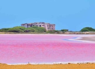 Salinas de Cumaraguas
