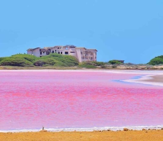 Salinas de Cumaraguas