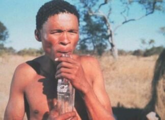 Peliculón de los 80: “Los dioses deben estar locos”