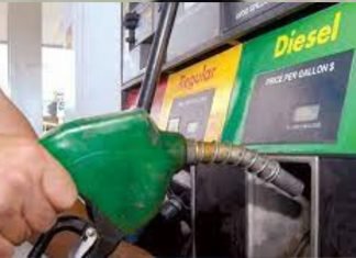 Tiziana Polesel: El precio más caro del diésel que pagan transportistas y sector agro, es no tenerlo