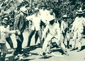 Páez y Gómez eran aficionados a las peleas de gallos