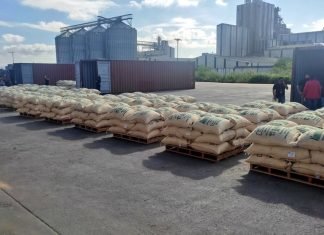 Aumentan exportaciones de empresas larenses