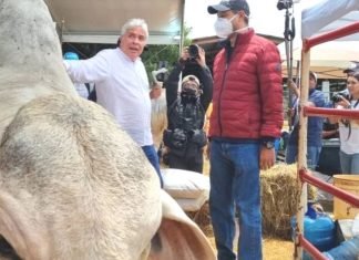 Ministro Castro Soteldo en 1era Mega Feria Pecuaria: «Lara tiene un potencial productivo»
