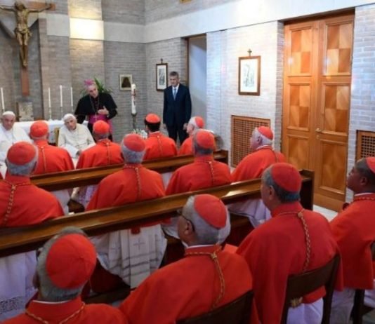 Papa Francisco y nuevos Cardenales visitaron al Papa Emérito
